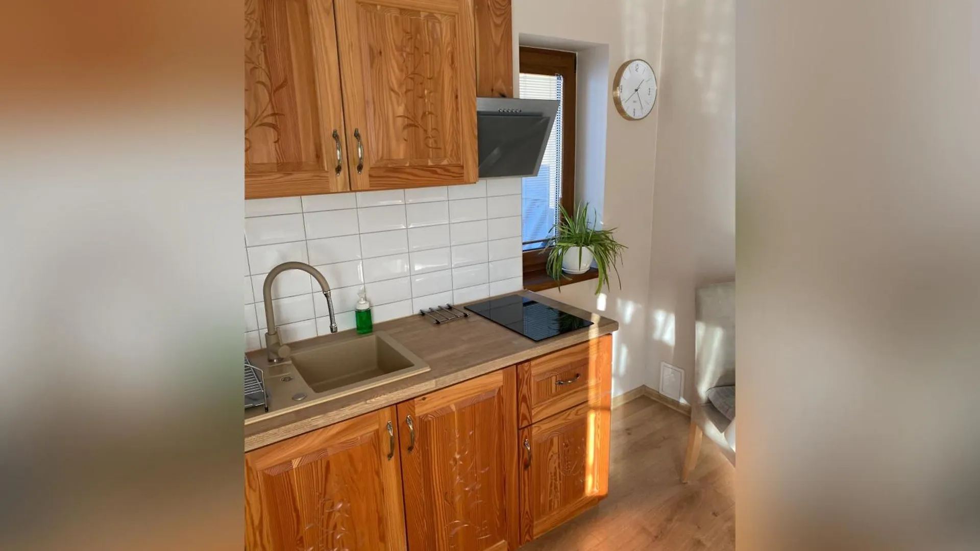 Apartment Apartamenty Nad Potokiem Aneta Burliga Zakopane